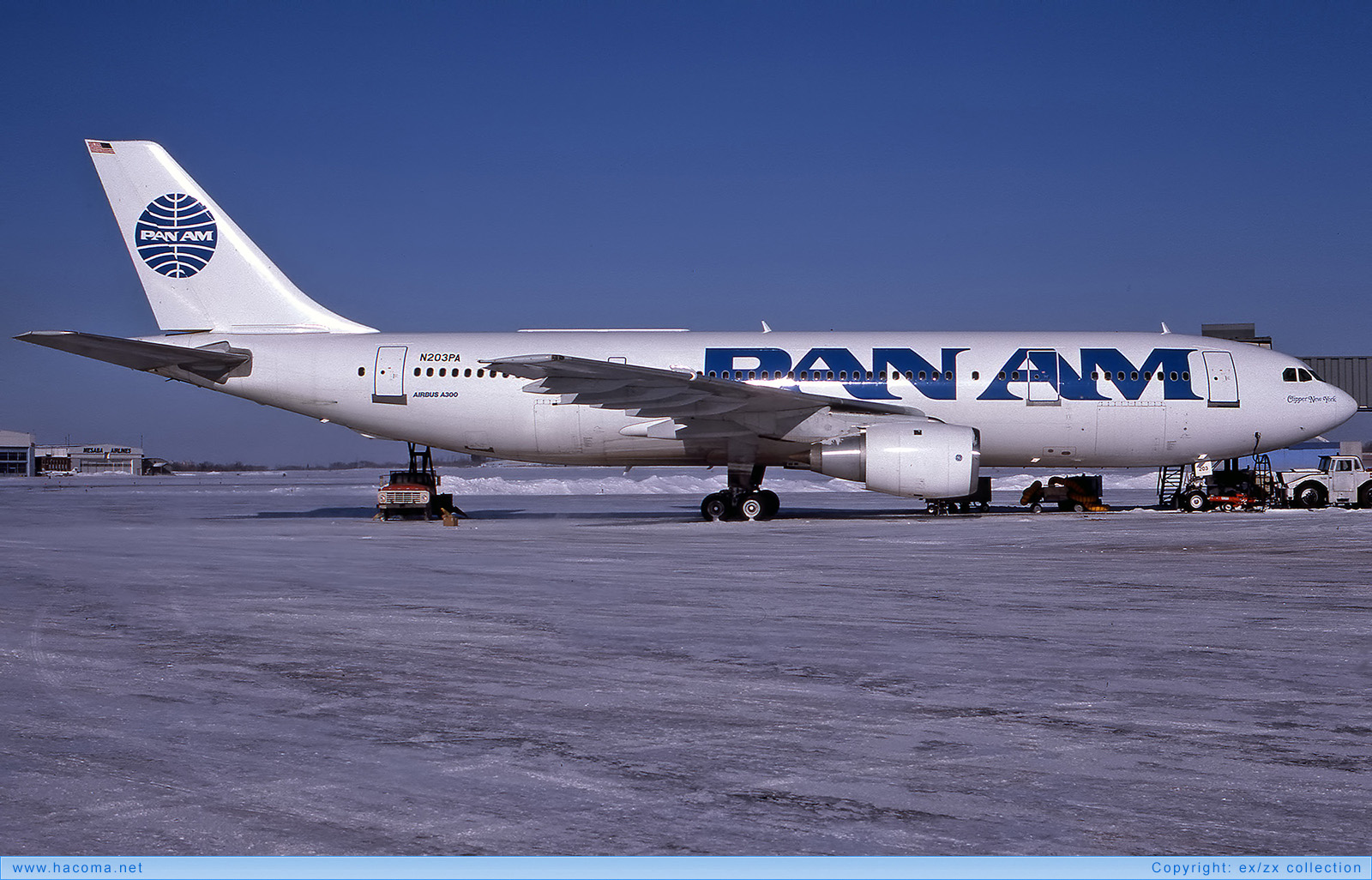 Foto von N203PA - Pan Am Clipper New York