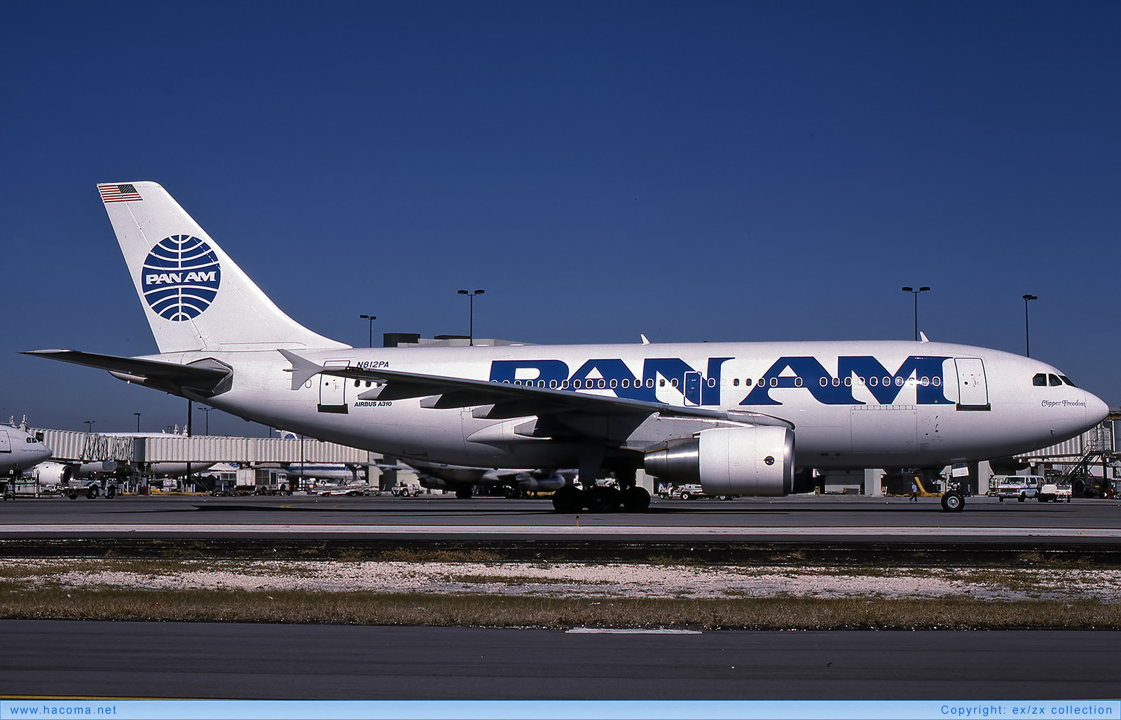 Foto von N812PA - Pan Am Clipper Freedom - Miami International Airport